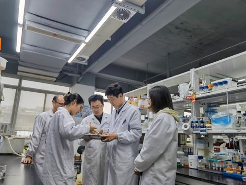 江南大學(xué)食品學(xué)院深化援疆合作，助力新疆食品科技產(chǎn)業(yè)升級(jí)